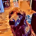 Josiah Welch - @jo_go_pro_ - Instagram