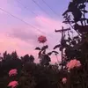 josie baker - @josieb29 - TikTok