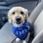 josie benedict - @charlie011608 - Instagram