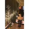 Josie Bennett - @jbennett95 - TikTok