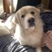 Jose Berg - Facebook
