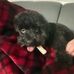 Josie Cameron - Facebook