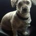 Josie Cartwright - Facebook