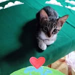 Josie Sumulong Castillo - @josie.castillo.969 - Instagram