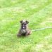 Josie Chambers - Facebook