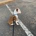 Josie Chapa - Facebook
