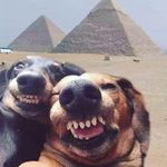 @clements_josie - Instagram