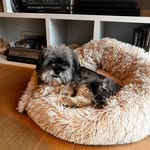 Josie Combs - @josiec2024 - Instagram