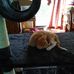 Josie Compton - Facebook