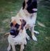 Josie Conroy - Facebook