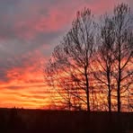 Josie Cormier - Facebook