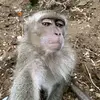 Josie Costello - @josie.costello - TikTok