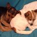 Josie Coyle - Facebook