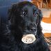 Josie Cramer - Facebook