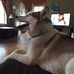 Josie Cramer - Facebook