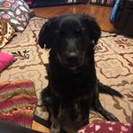 Josie Cramer - @josers14 - Instagram