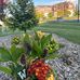 Josie Sasser Dodd - Facebook