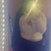 Josi Ebert - Facebook