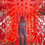 Josie Graffeo - @graffeojosie - Instagram