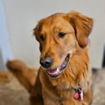 Josie Hanson - Facebook