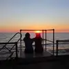 josiehoff37 - @josiehoff37 - TikTok