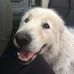 Josie Hurst - Facebook