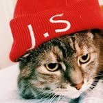 Josie | Jacob is my human 🐱 - @josieandjacob - Instagram