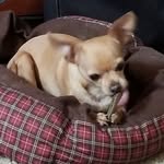 Josie Jacob Dassinger - @josiedassinger - Instagram