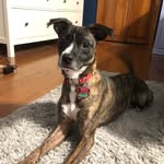 Josie Knowles - @josieposie_the_derp - Instagram