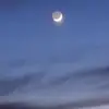 Josie McLeod - @josie.mcleod6 - TikTok