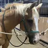 josie - @josie.meeks69 - TikTok