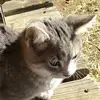 josieoglesby6 - @josieoglesby6 - TikTok