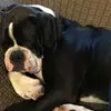 Josie Olson697 - @josieolson5 - TikTok