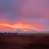 Josie Olson - @josie_4355 - TikTok