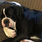 Josie Olson - @jergarner123 - Instagram