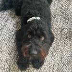 Josie P - @josie.painter - Instagram