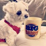 josie pratt - @iliketopog78 - Instagram