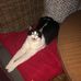 Josie Quick - Facebook
