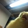 josie schultz844 - @josieschultz844 - TikTok