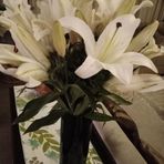 Josie Singh - Facebook