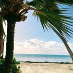 Josie Myers Sutton - @bandmom2123 - Instagram