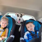 Josie Sutton - @catahoulajosie - Instagram