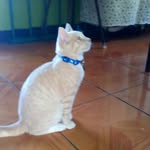 Josimar Rojas - @yosimar_alvarado_rojas_ - Instagram