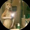 josimarrojas11 - @josimarrojas110 - TikTok