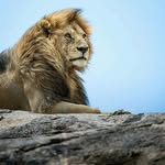 josimarrojas - @josimarrojas_ - Instagram