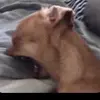 Joslynscottt - @joslynscottt - TikTok