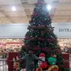 Josue Cedillo - @montedesion3 - TikTok