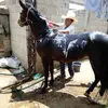 josuecedillo85 - @josuecedillo85 - TikTok