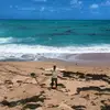 Josué Pagán Photography - @josuepagan_photography - TikTok
