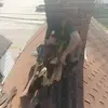Josué Roman - @josu.roman - TikTok